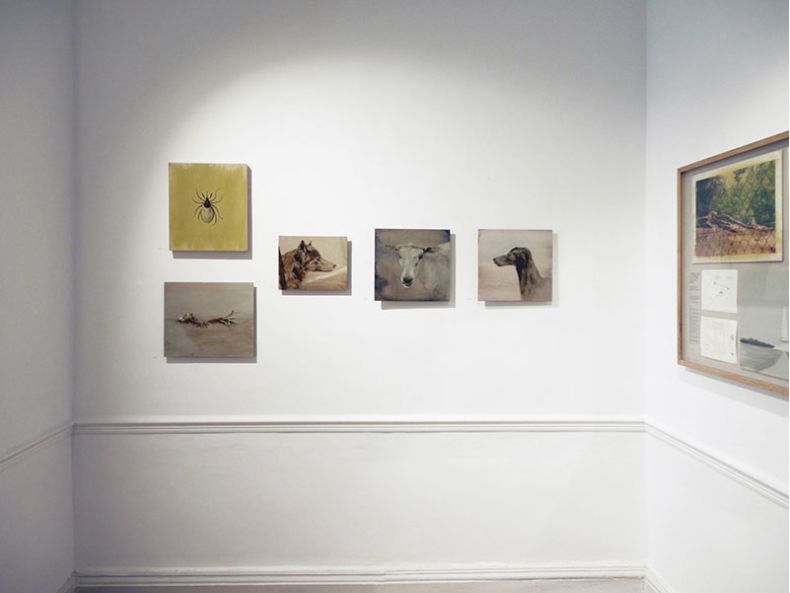 Wolf Vista general de la exposici&oacute;n en la galer&iacute;a Oliver Sears Gallery, 2018